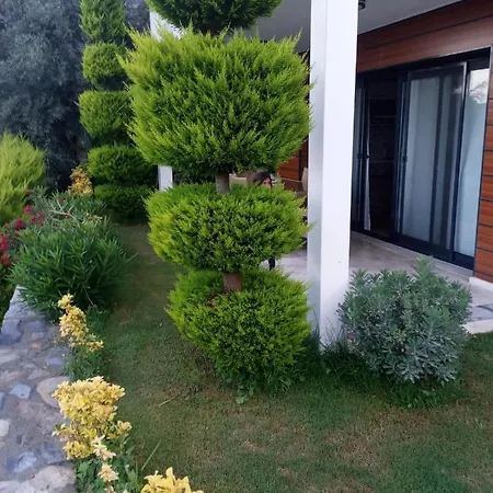 Mooi Modern Dichtbij Zee Bodrum