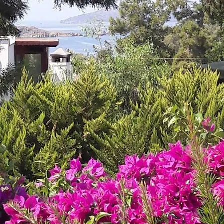 Mooi Modern Dichtbij Zee Apartment Bodrum