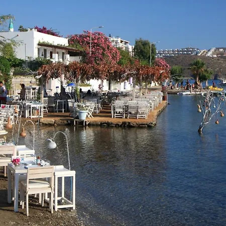 Mooi Modern Dichtbij Zee Bodrum